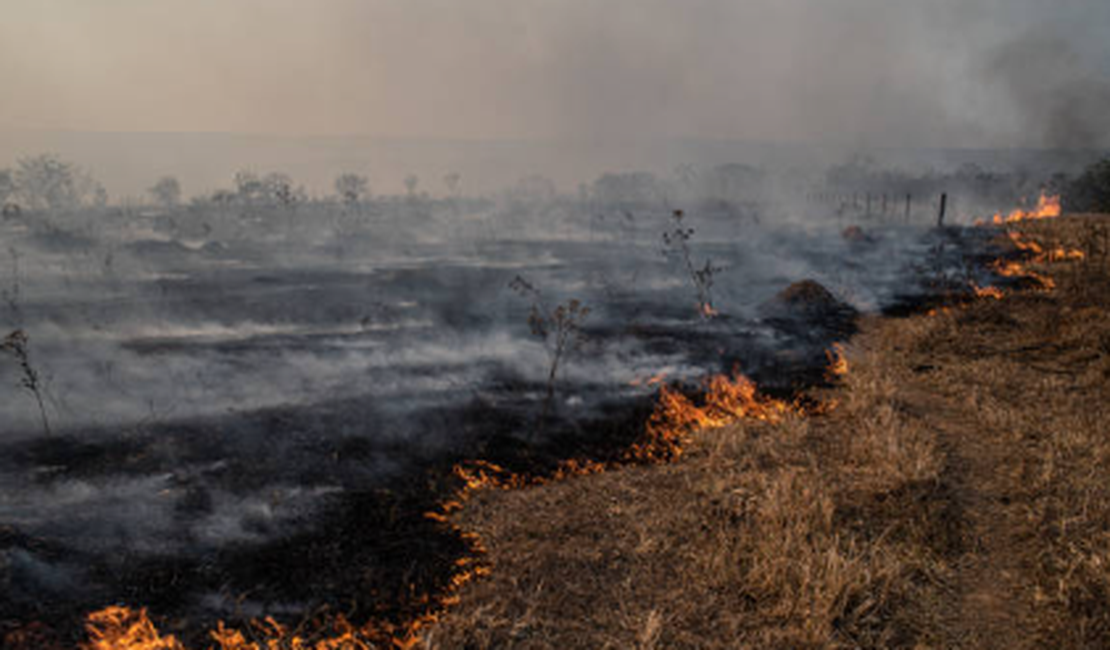 [Vídeo]  Apesar do aumento da temperatura, ação humana ainda é principal causa de incêndios em vegetação