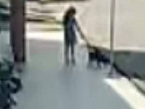 Pitbull ataca e mata pinscher na frente de criança no bairro Cavaco, em Arapiraca