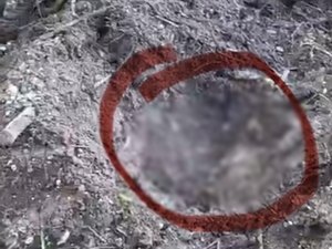 Após rastrear tornozeleira, reeducando é encontrado morto e enterrado em mangue