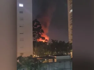 Incêndio destrói galpão de Vic Meireles, florista de celebridades, em São Paulo