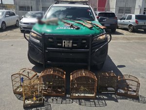 Animais silvestres e armas são apreendidas no Litoral Norte de Alagoas