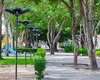 Inscrições abertas: Arapiraca sedia o XI Encontro Nordestino de Arborização Urbana em julho