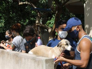 Abrigo São Cão promove feira de adoção em Maceió neste sábado (07)