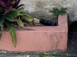 Bope é acionado após populares encontrarem artefato suspeito escondido em calçada