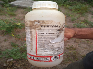 Estudo da Ufal constata alto índice de contaminação por agrotóxicos no Agreste