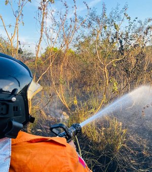 Incêndio prejudica tráfego na rodovia AL 485 em Arapiraca