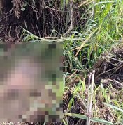 Homem encontrado morto com 40 facadas em Rio Largo é identificado