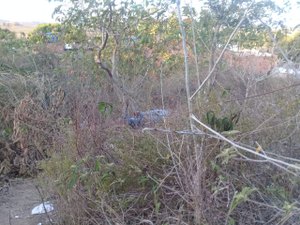 Corpo sem identificação é encontrado na cidade de Taquarana