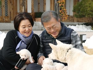 Presidente da Coreia do Sul apresenta filhotes dos cães que ganhou de Kim Jong-un