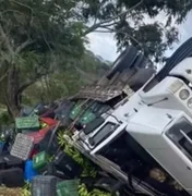 Caminhão tomba e espalha carga de bananas na rodovia AL-220, em São José da Tapera