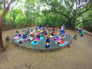 Dia da Mulher: Parque Municipal oferece oficinas e pilates