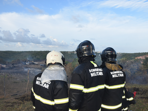 Corpo de Bombeiros atua no combate ao fogo em vegetação em Palmeira dos Índios