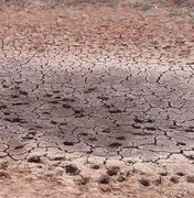 Governo Federal reconhece situação de emergência em cidades do Agreste e Sertão por causa da estiagem