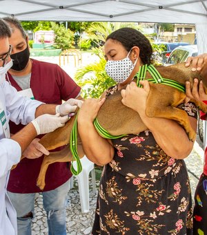 Programa de Acolhimento de Animais vacinou 150 cães em Bebedouro