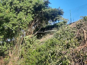 Moradores denunciam e pedem investigação de crime ambiental na Serraria