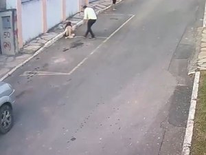 Vídeo: câmera registra cães fugindo de casa e atacando criança no DF
