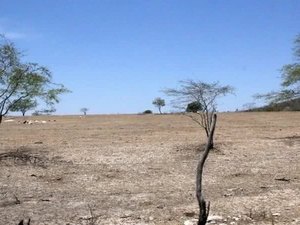 Entenda por que Piranhas decretou emergência por estiagem após estragos por chuvas