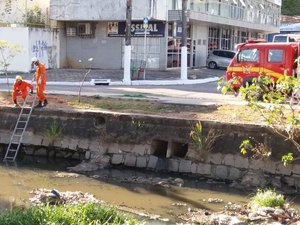 Cachorro é salvo pelo Corpo de Bombeiros no Riacho Salgadinho