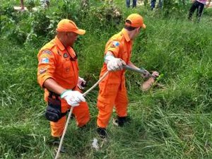 Corpo de Bombeiros resgata cão que caiu em buraco, em Arapiraca