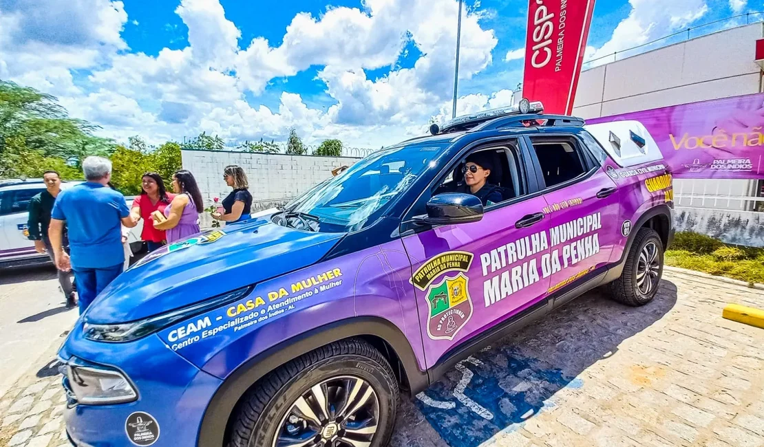 Videomonitoramento ajuda Guarda Civil a prender homem após agressão contra mulher em Palmeira