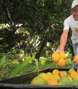 Empresa francesa quer investir em região do APL Fruticultura no Agreste