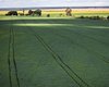 Governo Federal lança Plano Safra 2025/2026 com R$ 516,2 bilhões para impulsionar agro brasileiro