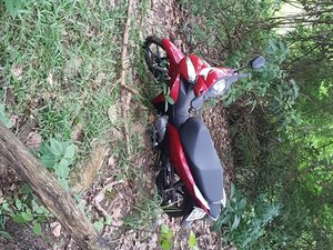 Mãe procura polícia e denuncia roubo cometido pelo próprio filho em Arapiraca
