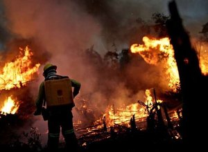 Amazônia: agricultores causam maioria das queimadas, e não índios