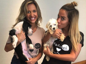 Anitta adota cachorros vítimas de maus tratos com Luisa Mell: 'Quero todos'