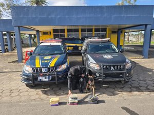 Mulher é presa com 15kg de maconha dentro de ônibus em São Sebastião