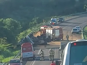 Ataque de abelhas causa tombamento de caminhão em rodovia de Sergipe