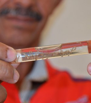 Chegada do Verão acende sinal de alerta para prevenção contra a dengue em AL