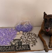 Polícia apreende cocaína, crack e maconha em Arapiraca