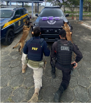 Homem é preso com 6,1 kg de skunk dentro de ônibus em São Sebastião