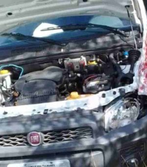 Colisão entre picape e ônibus deixa mulher ferida na BR-104, em União dos Palmares