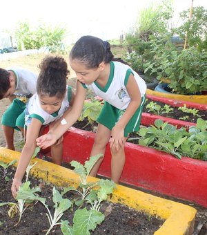 Horta escolar muda hábito alimentar de alunos da rede municipal de Maceió