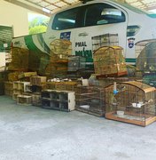 Batalhão Ambiental resgata 208 pássaros silvestres em Maceió e no interior