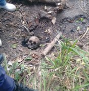 Tralhadores rurais encontram crânio humano enterrado