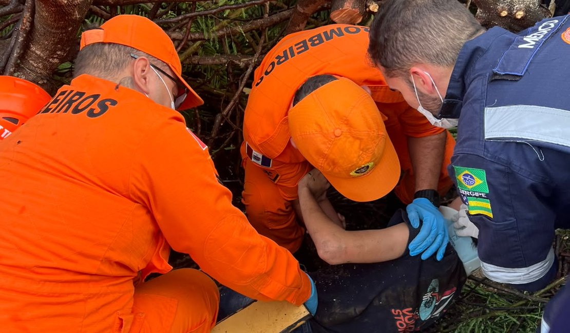 Árvore cai, atinge adolescente e provoca interdição de área em Delmiro Gouveia
