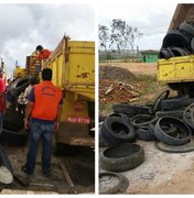 Defesa Civil recolhe pneus de borracharias para combater mosquito