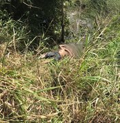 Corpo de adolescente é encontrado em matagal de Marechal Deodoro