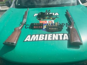 PM recolhe 11 armas de fogo e resgata cerca de 400 aves silvestres em Alagoas
