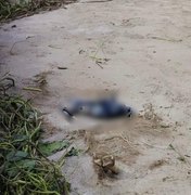 Polícia Científica atua para identificar ossada encontrada em praia de São Miguel dos Milagres
