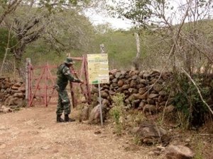 Festival de Inverno de Água Branca contará com ações de educação ambiental