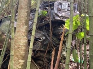 Carro de irmão desaparecido do ator Marco Ricca é encontrado com ossada