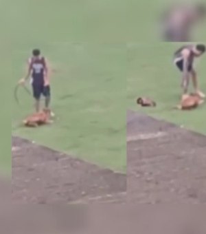 Funcionário de Centro de Equoterapia e Zooterapia é indiciado por maus-tratos contra cadela