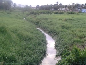 Projeto de reflorestamento em nascente do Rio Piauí começa a ser executado