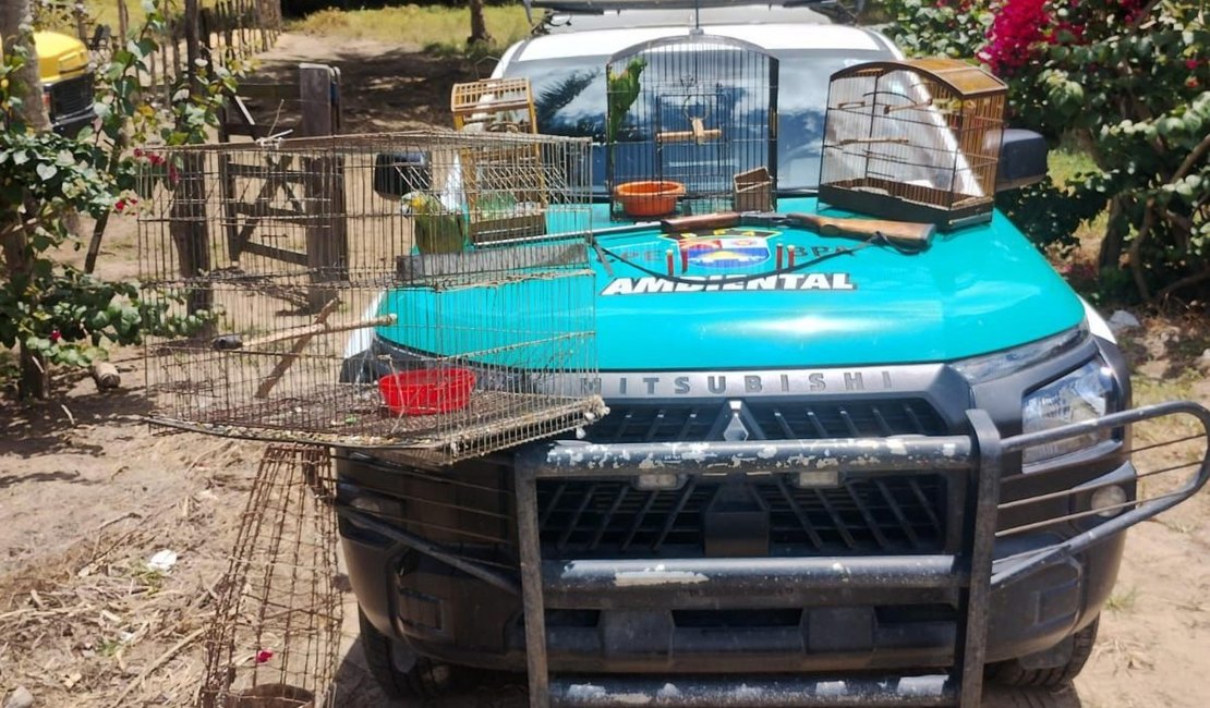 Batalhão Ambiental apreende arma de fogo e resgata animais silvestres em Limoeiro de Anadia