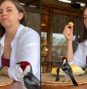 Ave rouba café da manhã de turista em Ilhéus e vídeo viraliza na web