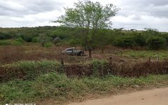 Motorista colide em árvore e carro fica destruído no município de Batalha